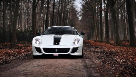 Sleek Ferrari in a Serene Forest Pathway wallpaper