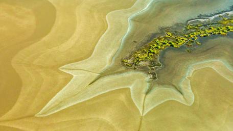 Serene Patterns of King River Tides wallpaper