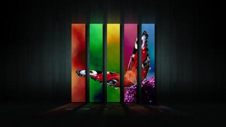 Vibrant Butterfly in Colorful Abstract Design wallpaper