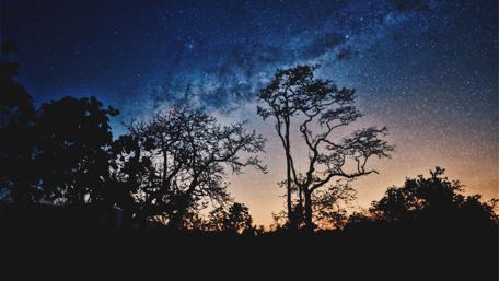 Milky Way Serenade wallpaper