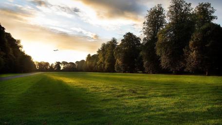 Serene Meadow at Sunset wallpaper