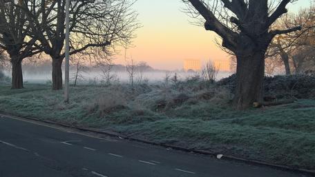 Frosty Morning Serenity in 4K Quality wallpaper
