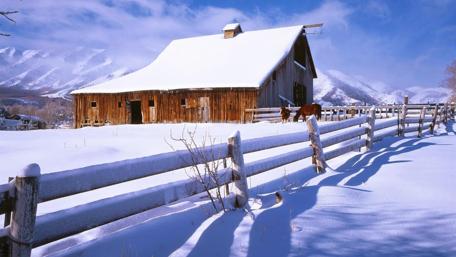 Serene Winter Barn Amidst Snowy Landscape wallpaper