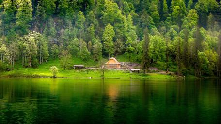 Idyllic Lakeside Retreat Amidst Verdant Woods wallpaper