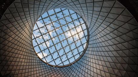 Urban Canopy Above the Cityscape wallpaper