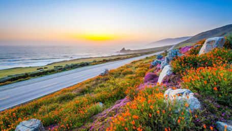 Golden Sunrise over California Coastal Road wallpaper