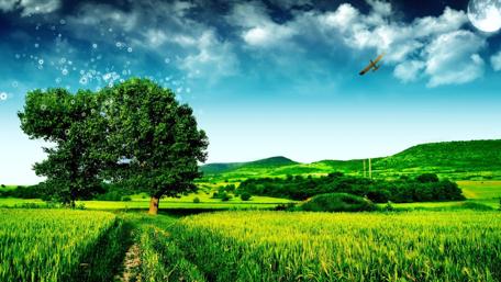 Flight Over an Enchanted Field wallpaper