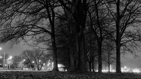 Monochrome Nights in Saint Petersburg wallpaper