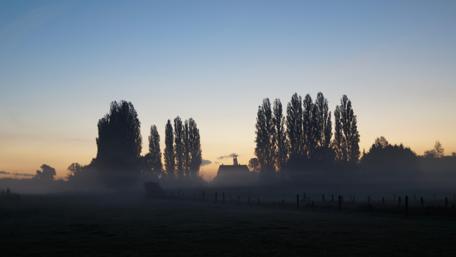 Misty Meadow at Dusk wallpaper
