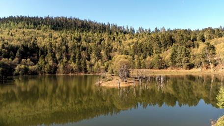 Tranquil Lake in Nature's Embrace wallpaper