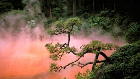 Mystical Calmness in Chinoike Jigoku wallpaper