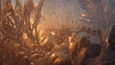 Ethereal Frost Patterns in Golden Light wallpaper
