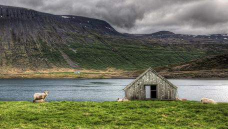 Tranquil Countryside Scene with Sheep and Cottage wallpaper