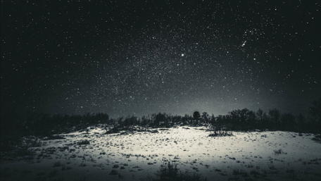 Starry Night in Monochrome Landscape wallpaper