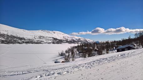 Serene Winter Landscape in Norway's Oppdal wallpaper