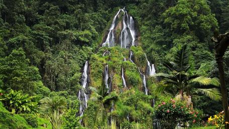 Majestic Waterfall Surrounded by Lush Greenery wallpaper