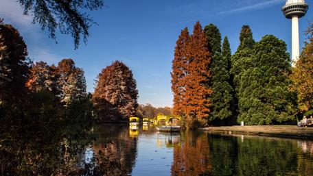 Autumn Serenity by the Lake wallpaper