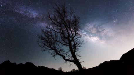 Milky Way Splendor Over Lone Tree wallpaper