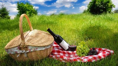 Picnic Serenity in a Sunny Field wallpaper