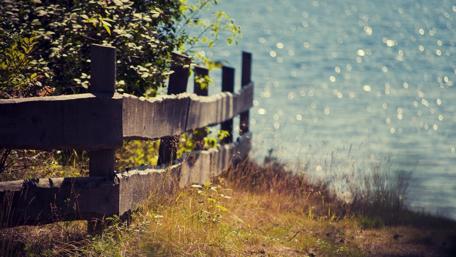 Tranquil Shoreline Serenity wallpaper