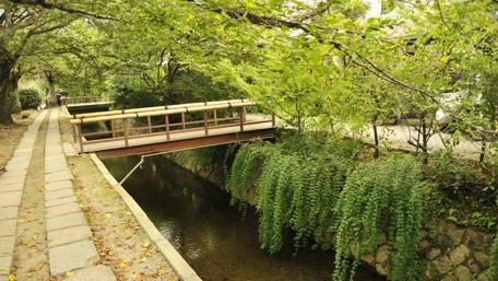 Serene Bridge Over Tranquil Stream wallpaper
