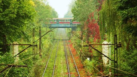Nature Meets Railways in Vibrant Colors wallpaper