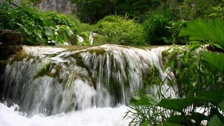 Tranquil Waterfall Among Lush Greenery wallpaper