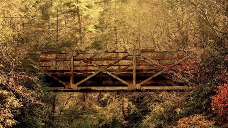 Rustic Bridge Amidst Autumn Forest Beauty wallpaper