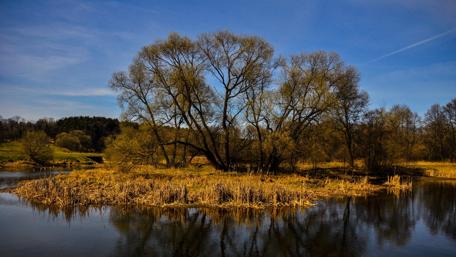 Tranquil Reflections of Nature's Beauty wallpaper