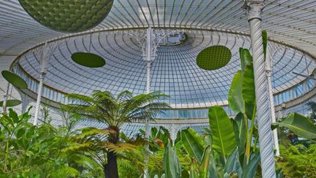 Green Oasis Beneath a Glass Dome wallpaper