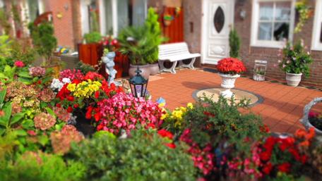 Vibrant Garden Diorama Bliss wallpaper