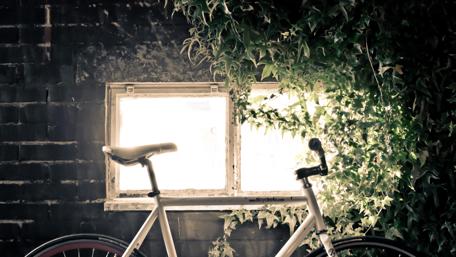 Urban Escape with a Bicycle by the Window wallpaper