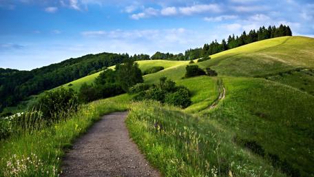 Winding Path Through Verdant Hills wallpaper