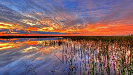 Everglades Sunset Reflection Beauty wallpaper