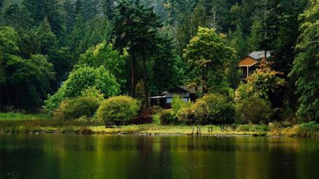 Tranquil Lakeside Retreat Amidst Nature's Splendor wallpaper
