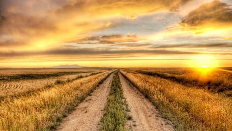 Golden Sunset Over Open Field Pathway wallpaper