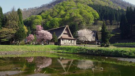 Charming Wooden Cottage by the Blooming Pond wallpaper