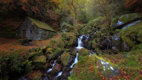 Secluded Forest Waterfall by the Cottage wallpaper