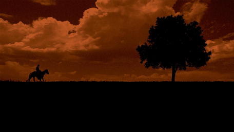 Serene Horse Ride at Dusk wallpaper