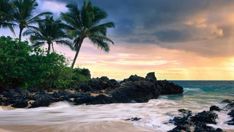 Beachside Oasis Under Stormy Skies wallpaper