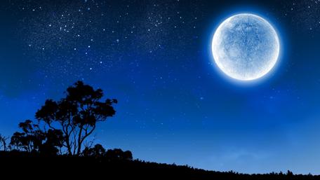 Silhouetted Trees Under a Starry Full Moon wallpaper