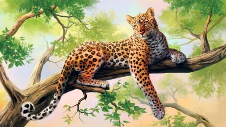 Leopard's Graceful Vantage Point in Nature wallpaper