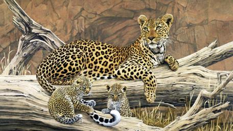 Majestic Leopards in Nature's Embrace wallpaper