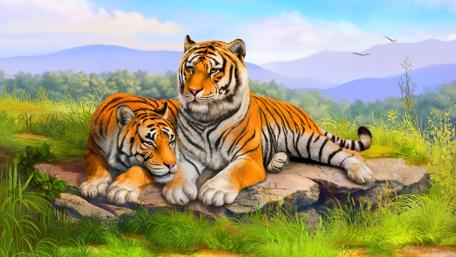 Majestic Tigers in a Serene Jungle Setting wallpaper