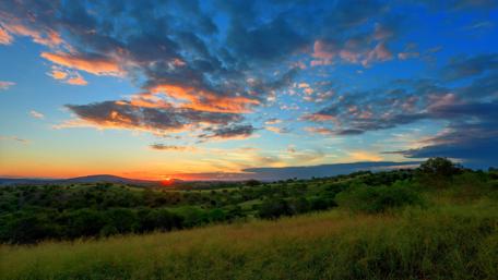 Golden Horizon over Rolling Hills wallpaper