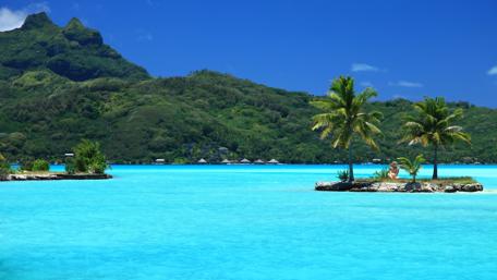 Tropical Paradise with Palm Trees and Crystal Clear Waters wallpaper