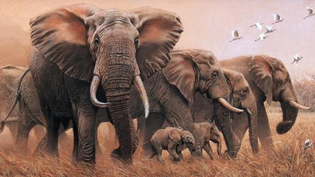 Gentle Giants on the Savannah wallpaper