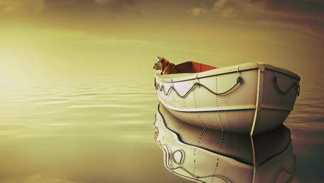 Mystical Lake Safari: A Tiger's Journey by Boat wallpaper