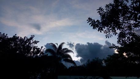 Palm Silhouette Against Twilight Sky wallpaper