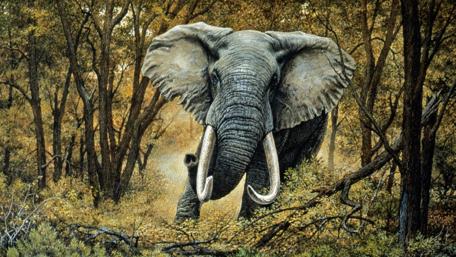 Majestic Elephant in Artistic Splendor wallpaper